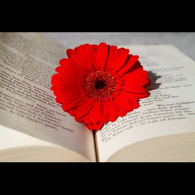 早良区にある健翔堂整骨院で不眠症を改善いたします